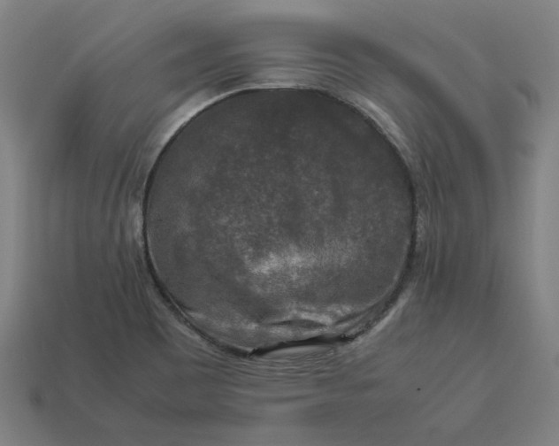 X0000113371465200910061050