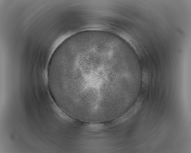 X0000113371466200910061050