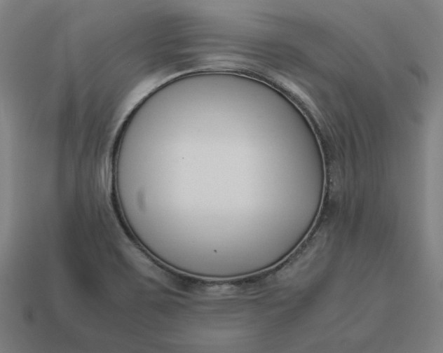 X0000113371467200910061050