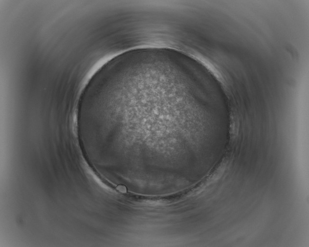 X0000113371468200910061050