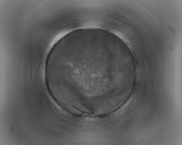 X0000113371469200910061050