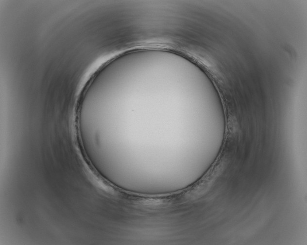 X0000113371470200910061050