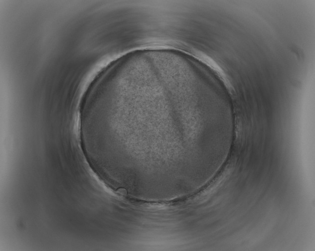 X0000113371472200910061050