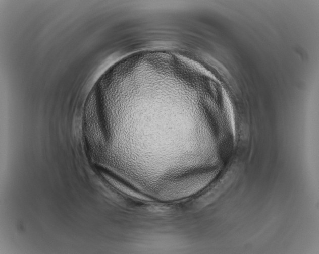 X0000113371473200910061050