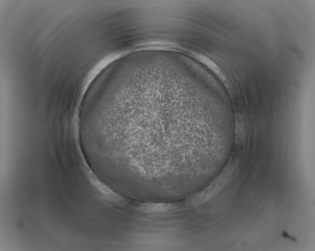 X0000113371474200910061050