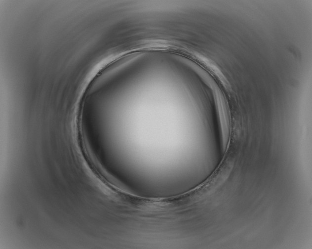 X0000113371475200910061050