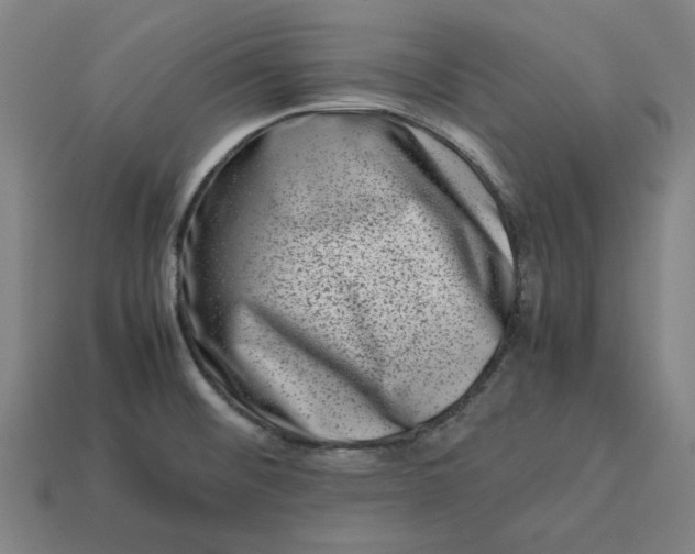 X0000113371476200910061050