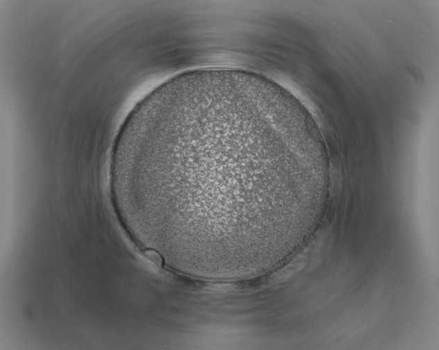 X0000113371477200910061050