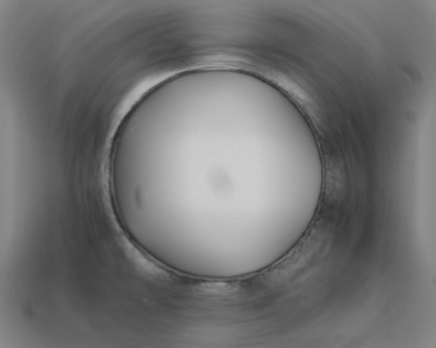 X0000113371478200910061050