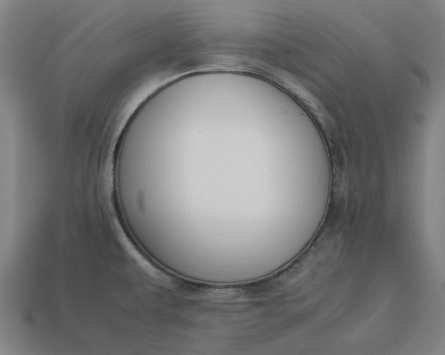 X0000113371479200910061050