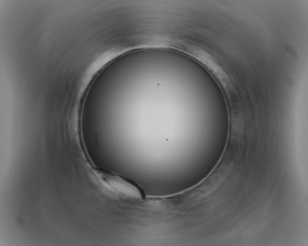 X0000113371480200910061050