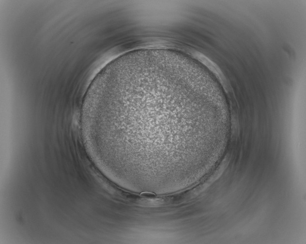 X0000113371481200910061050