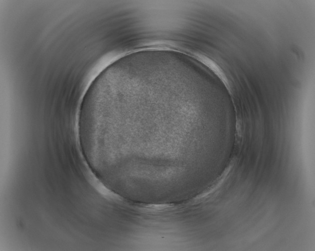 X0000113371482200910061050