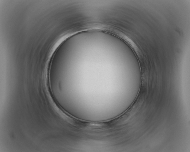 X0000113371483200910061050