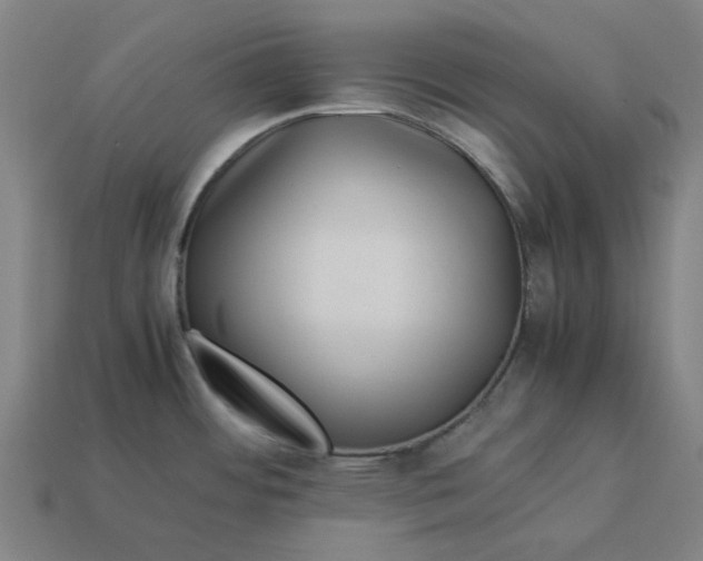 X0000113371484200910061050