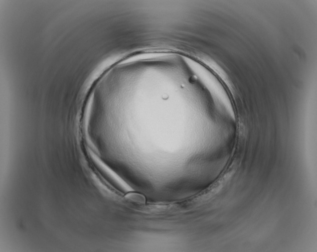 X0000113371485200910061050