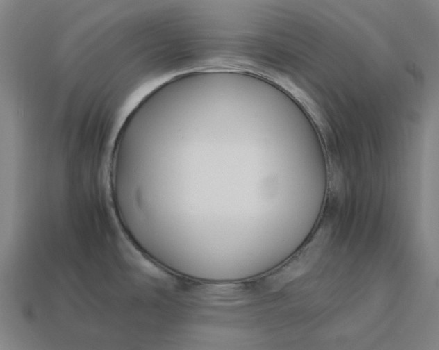 X0000113371486200910061050