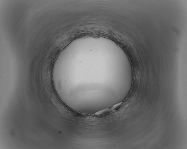 X0000113371489200910061049