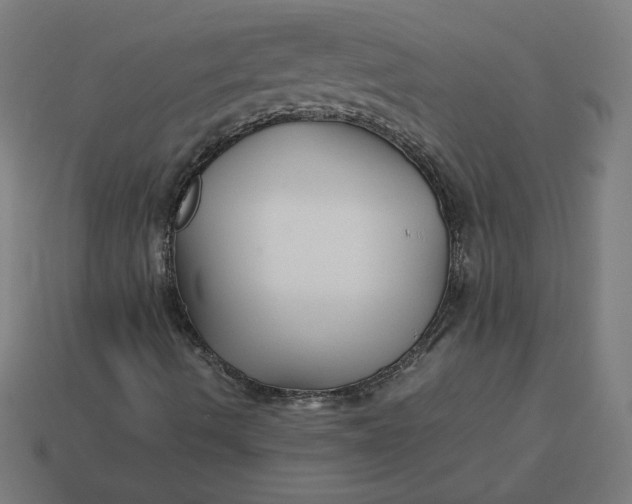 X0000113371490200910061049