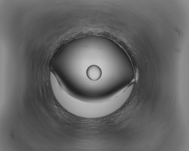 X0000113371492200910061050