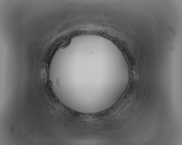 X0000113371493200910061050