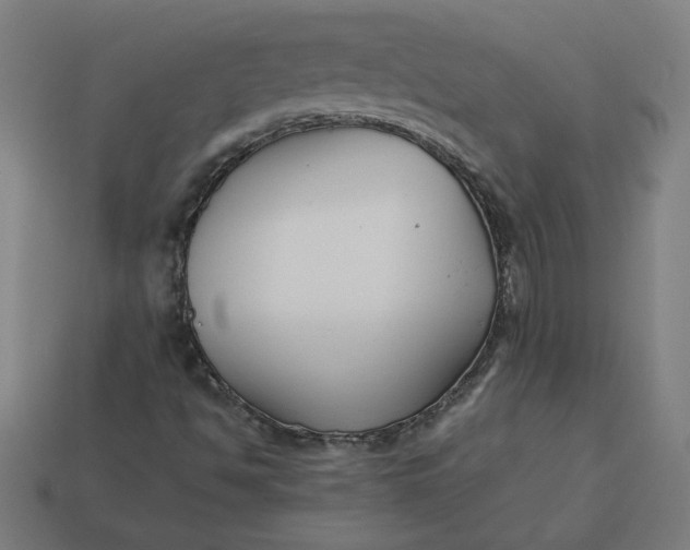 X0000113371494200910061050