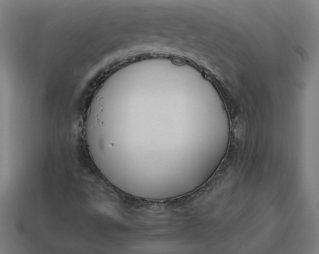 X0000113371495200910061050