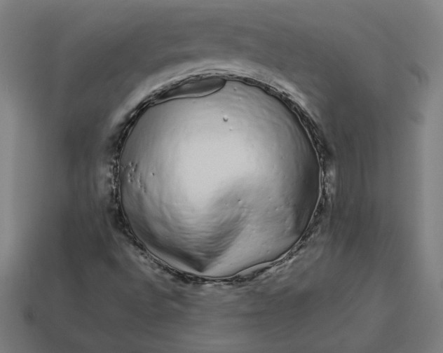 X0000113371496200910061050