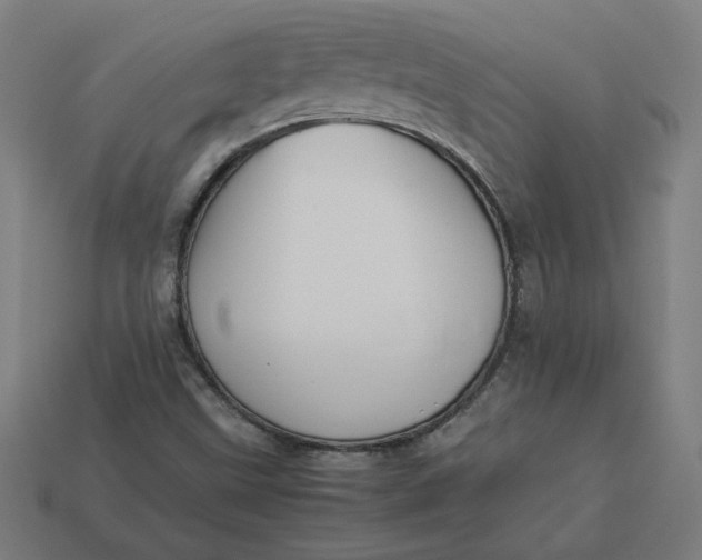 X0000113371499200910061050