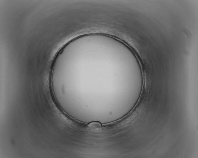 X0000113371500200910061050