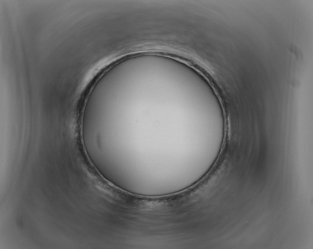 X0000113371501200910061050