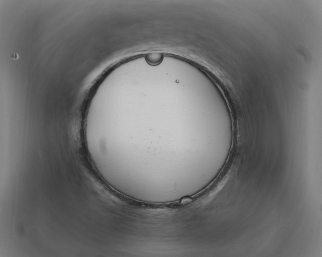 X0000113371502200910061050