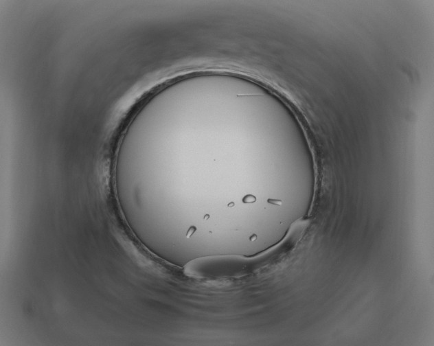 X0000113371503200910061050