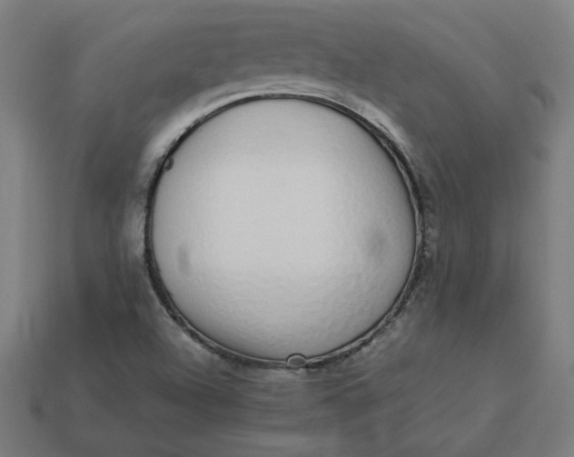 X0000113371504200910061050