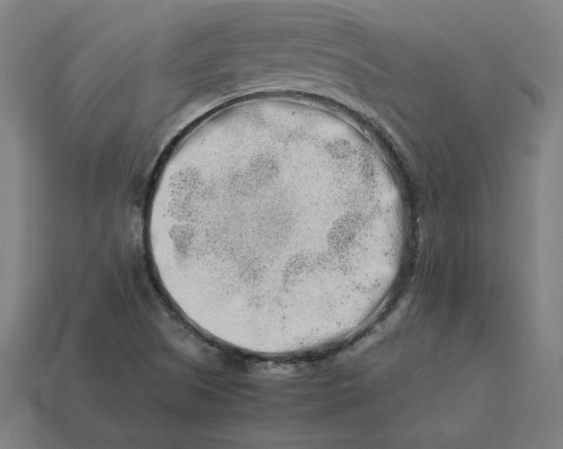 X0000113371505200910061050