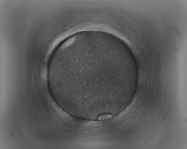 X0000113371506200910061050