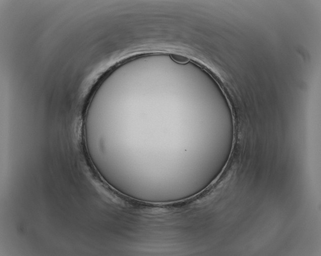 X0000113371507200910061050