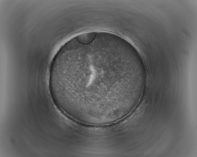 X0000113371508200910061050