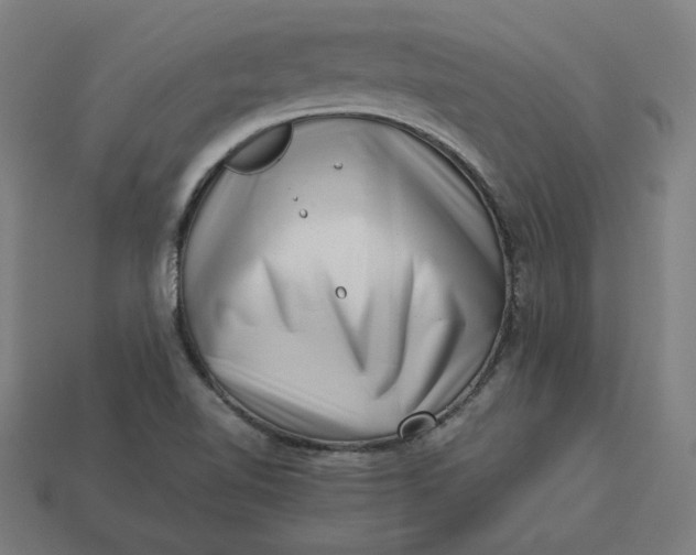 X0000113371510200910061050