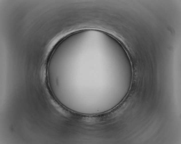 X0000113371511200910061050