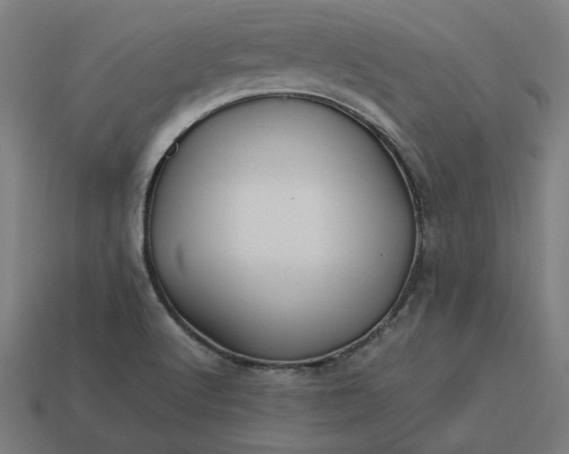 X0000113371512200910061050