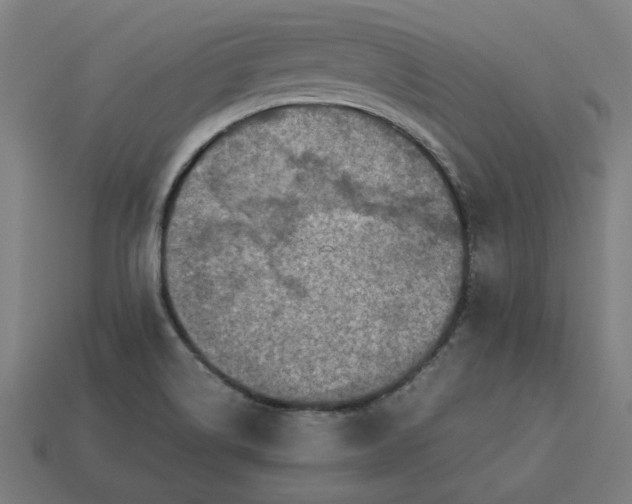 X0000113371514200910061050