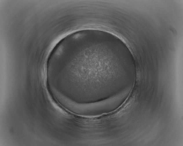 X0000113371515200910061050