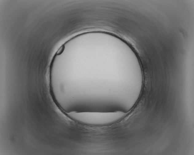 X0000113371516200910061050