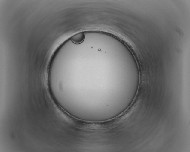 X0000113371517200910061050