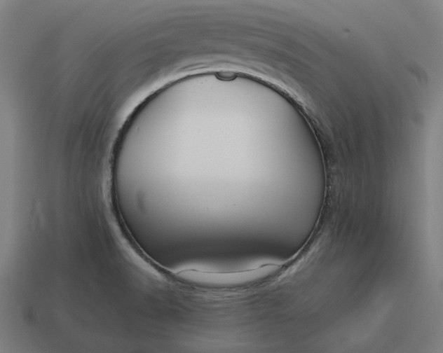 X0000113371518200910061050