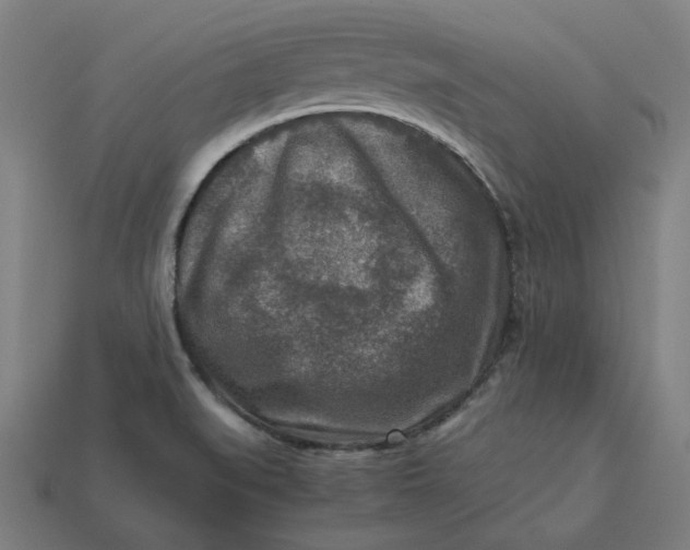 X0000113371519200910061050