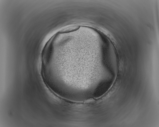 X0000113371520200910061050