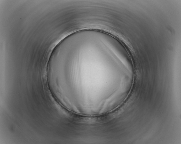 X0000113371521200910061050