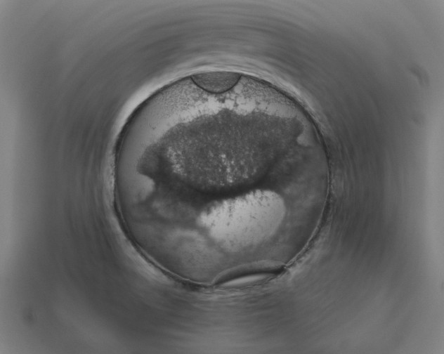 X0000113371522200910061050